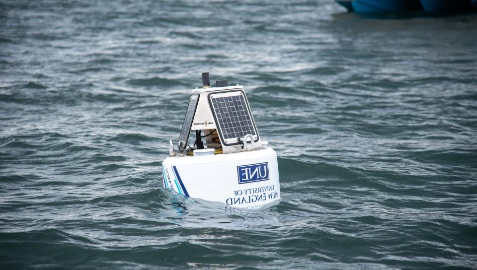 A buoy with solar panels that can track tagged great white sharks in real time floats in the waters of Saco Bay